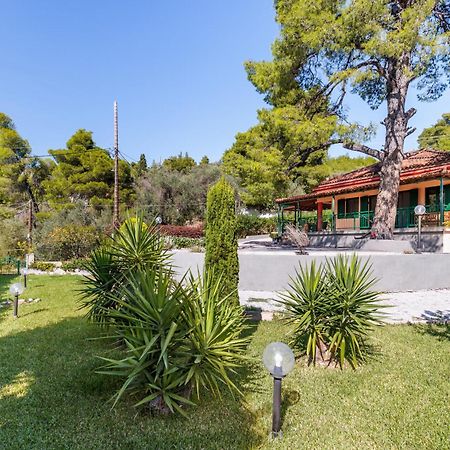 Skopelos Country House Diamantis & Chrisi Αγνώντας Εξωτερικό φωτογραφία