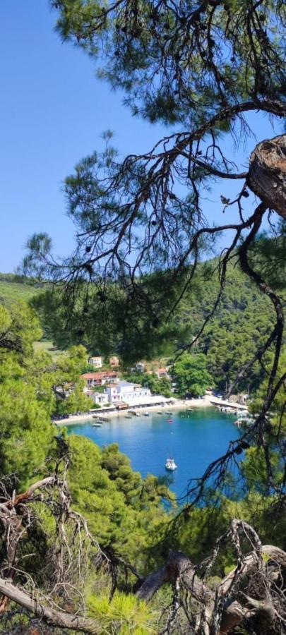 Skopelos Country House Diamantis & Chrisi Αγνώντας Εξωτερικό φωτογραφία