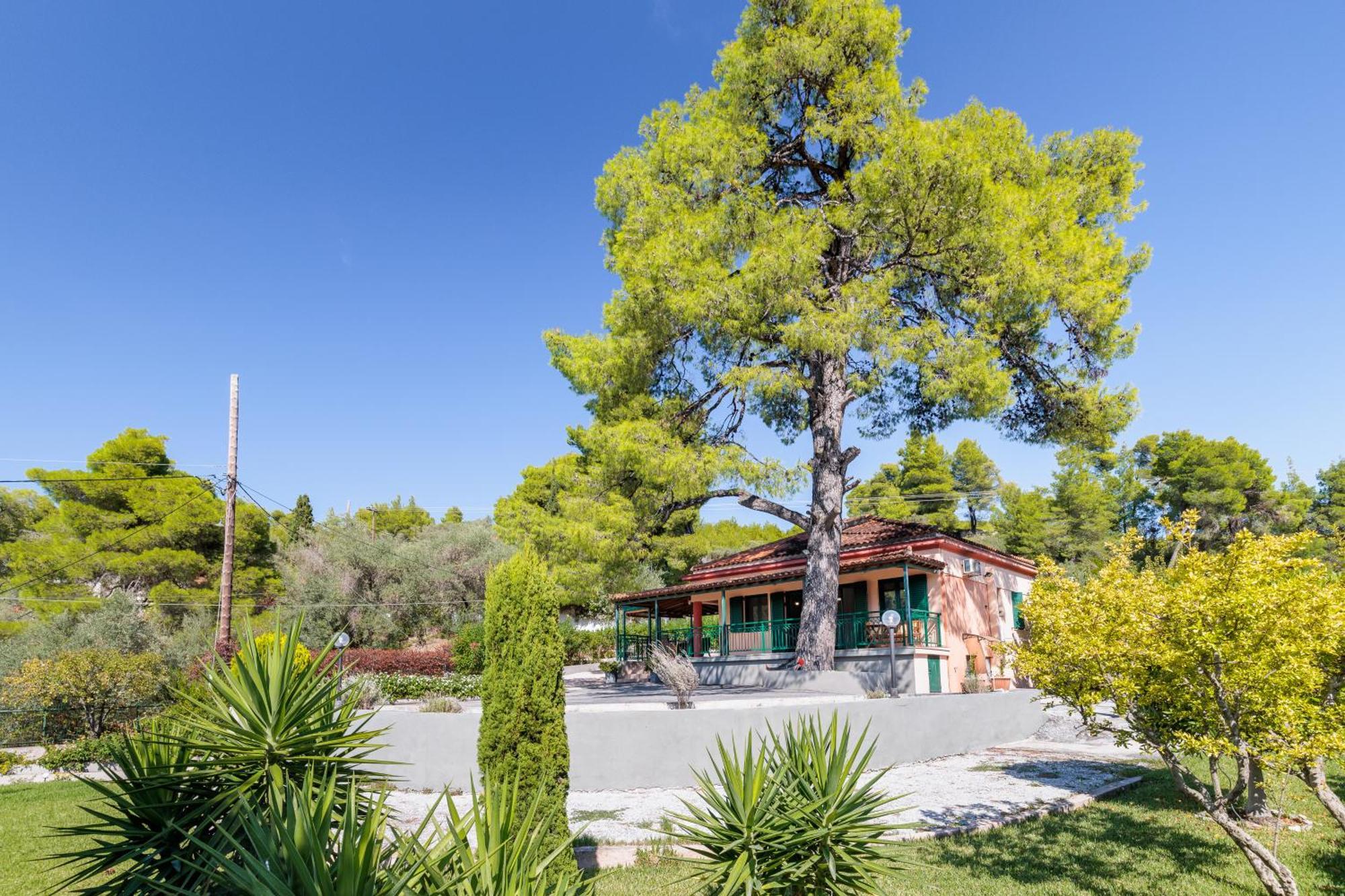 Skopelos Country House Diamantis & Chrisi Αγνώντας Εξωτερικό φωτογραφία